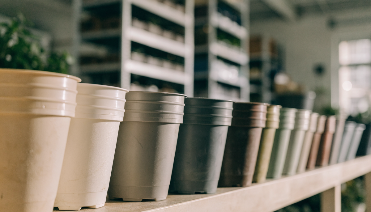 Pots de fleurs en plastique de plusieurs couleurs alignés sur une étagère Image