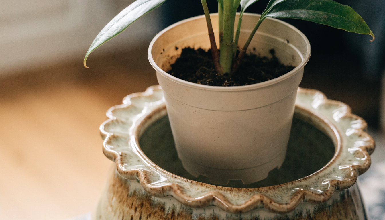 Pot de culture en plastique posé à l'intérieur d'un cache-pot en céramique Image