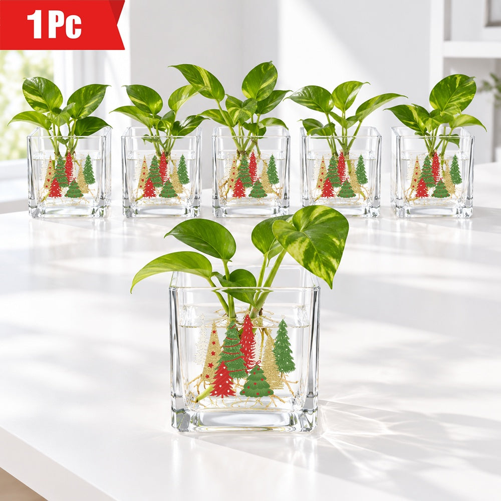 Pot de fleur en verre, carré pour rebord de fenêtre, gros plan