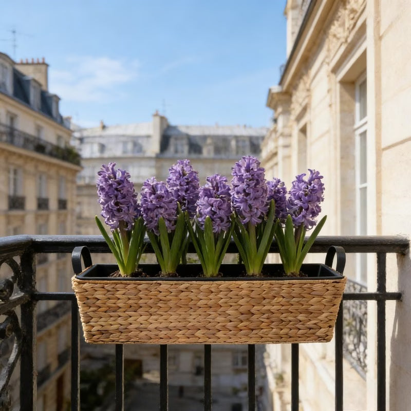 Jardinière de balcon en jacinthe d'eau tressée - lot de 2