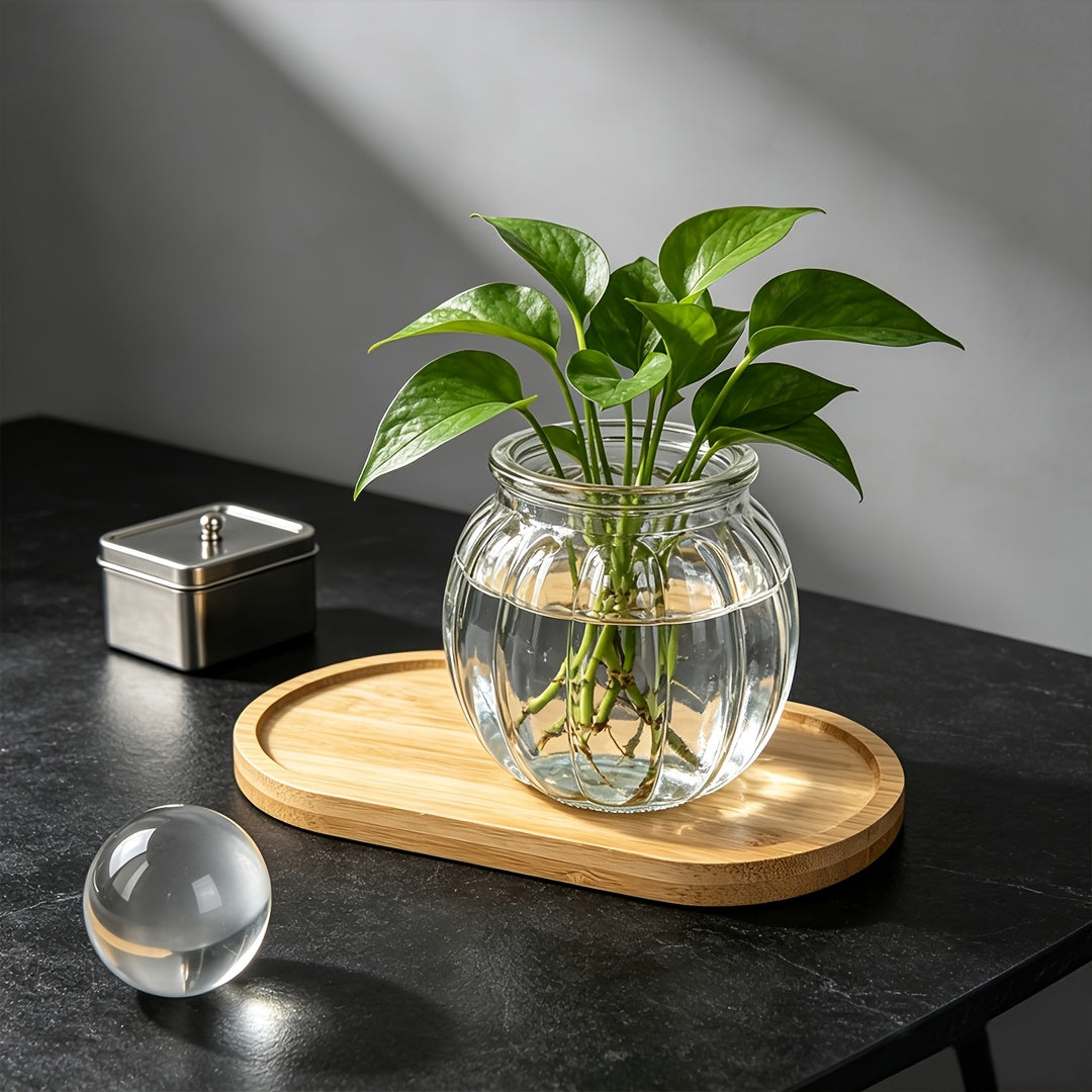 Pot de fleur en verre, ovale, culture hydroponique, détail de la finition