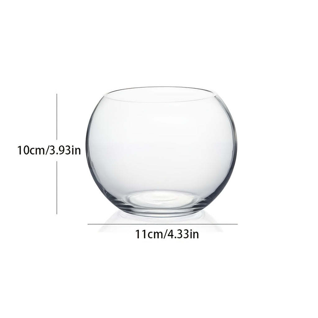 Pot de fleur en verre, culture hydroponique, transparent, gros plan