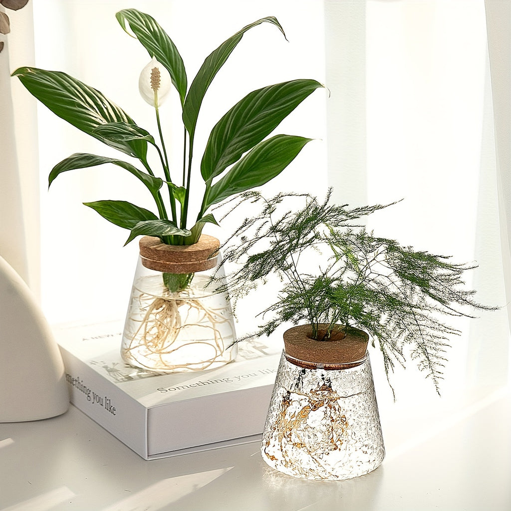 Pot de fleur en verre, culture hydroponique pour bouturage, détail de la finition