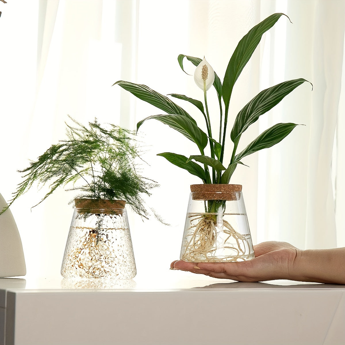 Pot de fleur en verre, culture hydroponique pour bouturage, gros plan