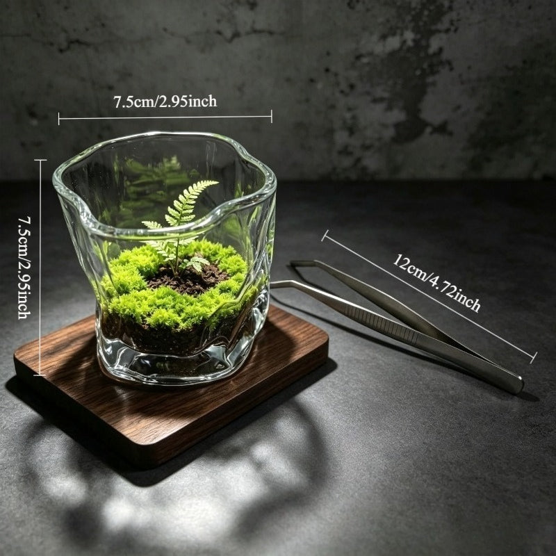 Pot de fleur en verre pour terrarium, vendu en lot — détail de la matière : verre Image