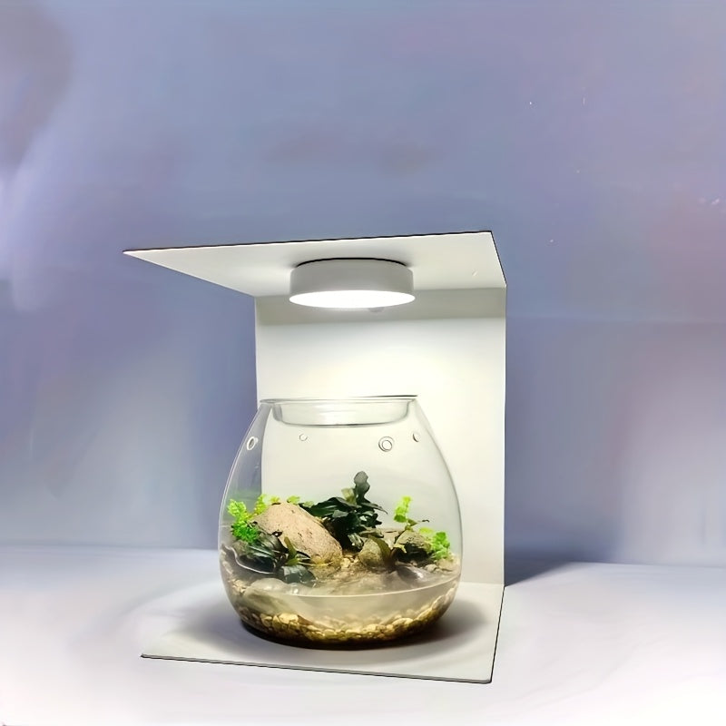 Pot de fleur en verre, rond pour bonsaï, vue de dos
