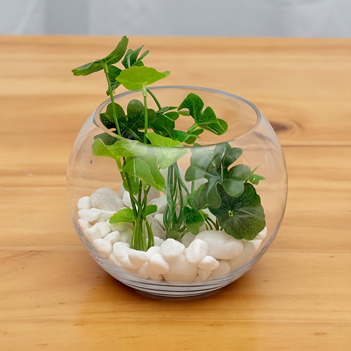 Pot de fleur en verre, culture hydroponique, transparent