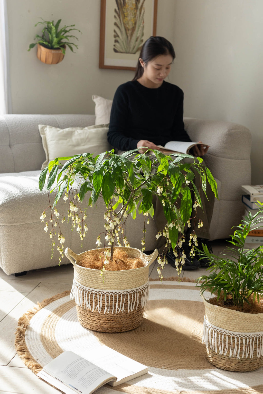 Cache-pot en osier tressé à franges macramé pour intérieur
