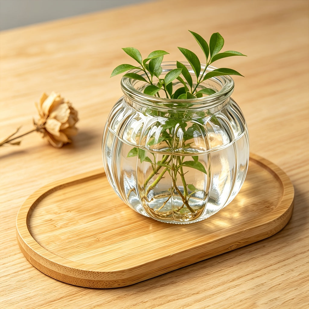 Pot de fleur en verre, ovale, culture hydroponique, gros plan