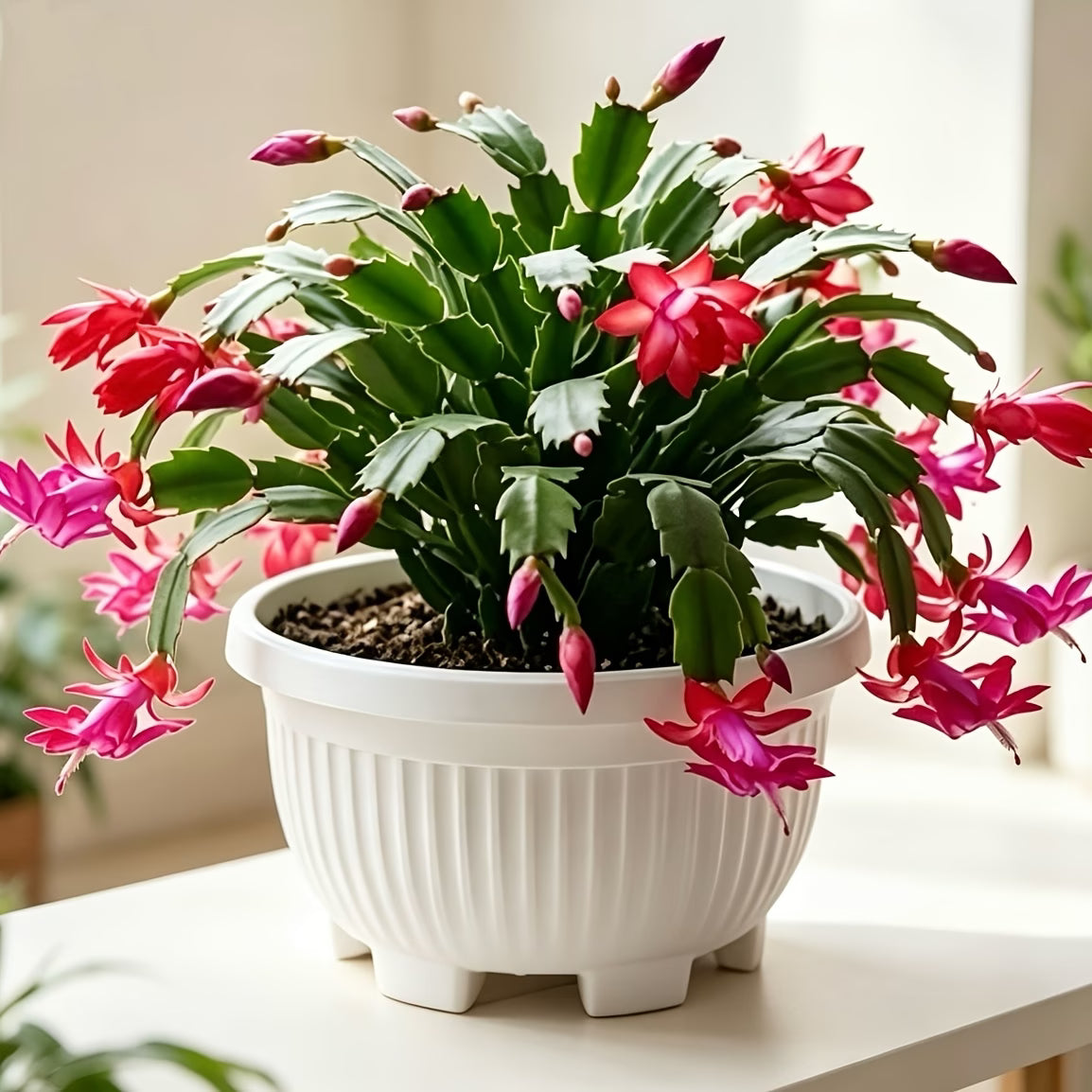 Pot de fleur extérieur en résine, lot de 8 bols rétro à pieds