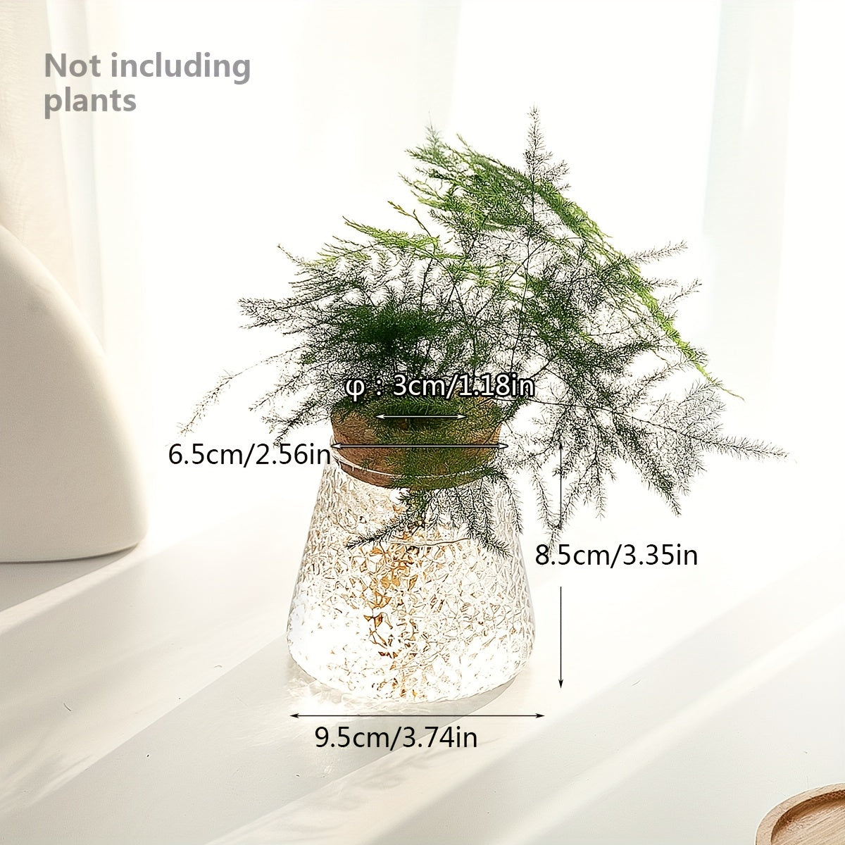 Pot de fleur en verre, culture hydroponique pour bouturage, vue d'ensemble