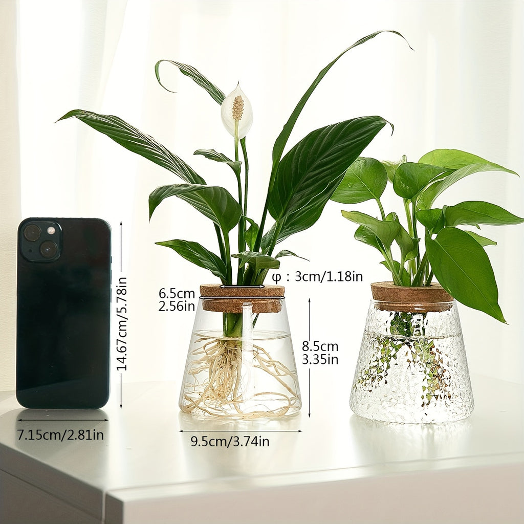 Pot de fleur en verre, culture hydroponique pour bouturage, vue de dos