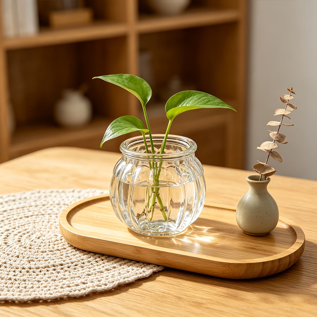 Pot de fleur en verre, ovale, culture hydroponique, visuel produit