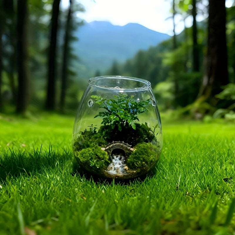 Pot de fleur en verre, rond pour bonsaï, vue de dos