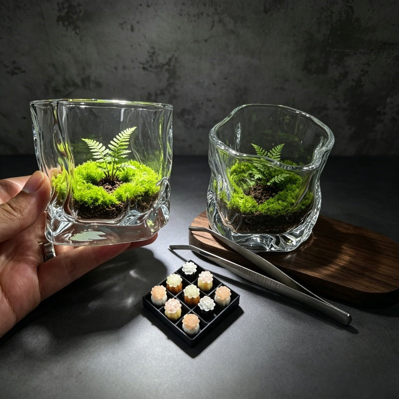 Pot de fleur en verre pour terrarium, vendu en lot