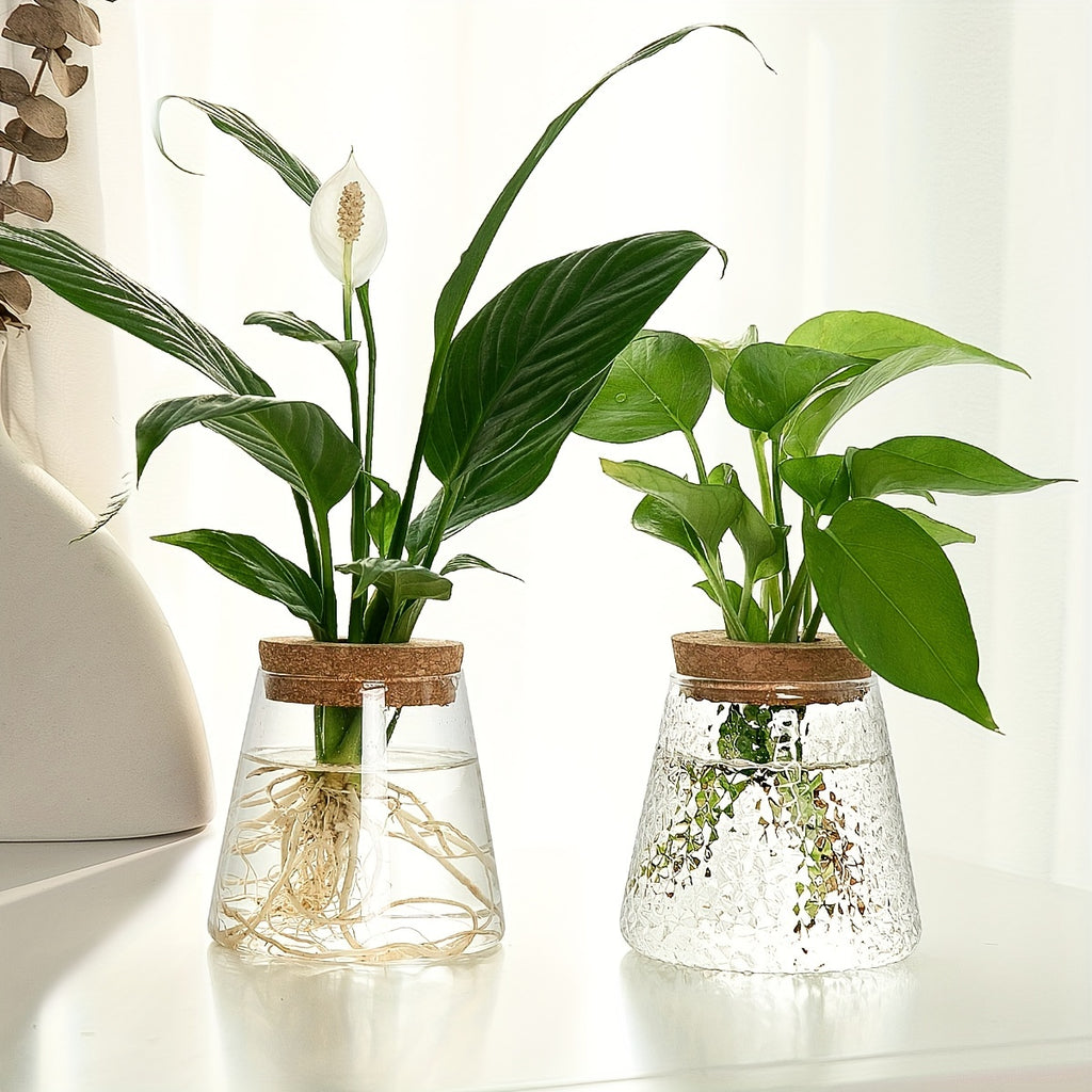 Pot de fleur en verre, culture hydroponique pour bouturage, mise en situation