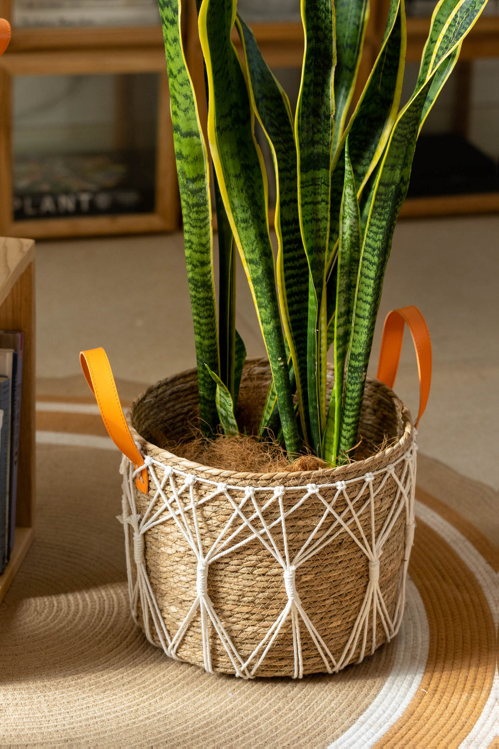 Cache-pot panier tressé à décor macramé Ø 25 cm, naturel