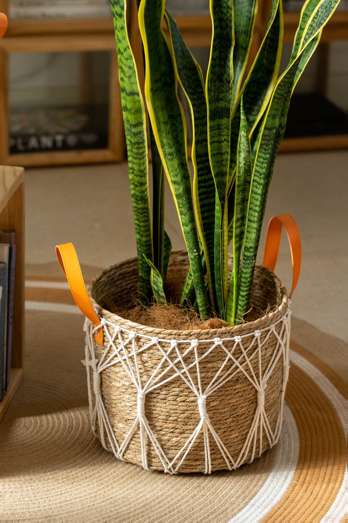 Cache-pot panier tressé à décor macramé Ø 25 cm, naturel