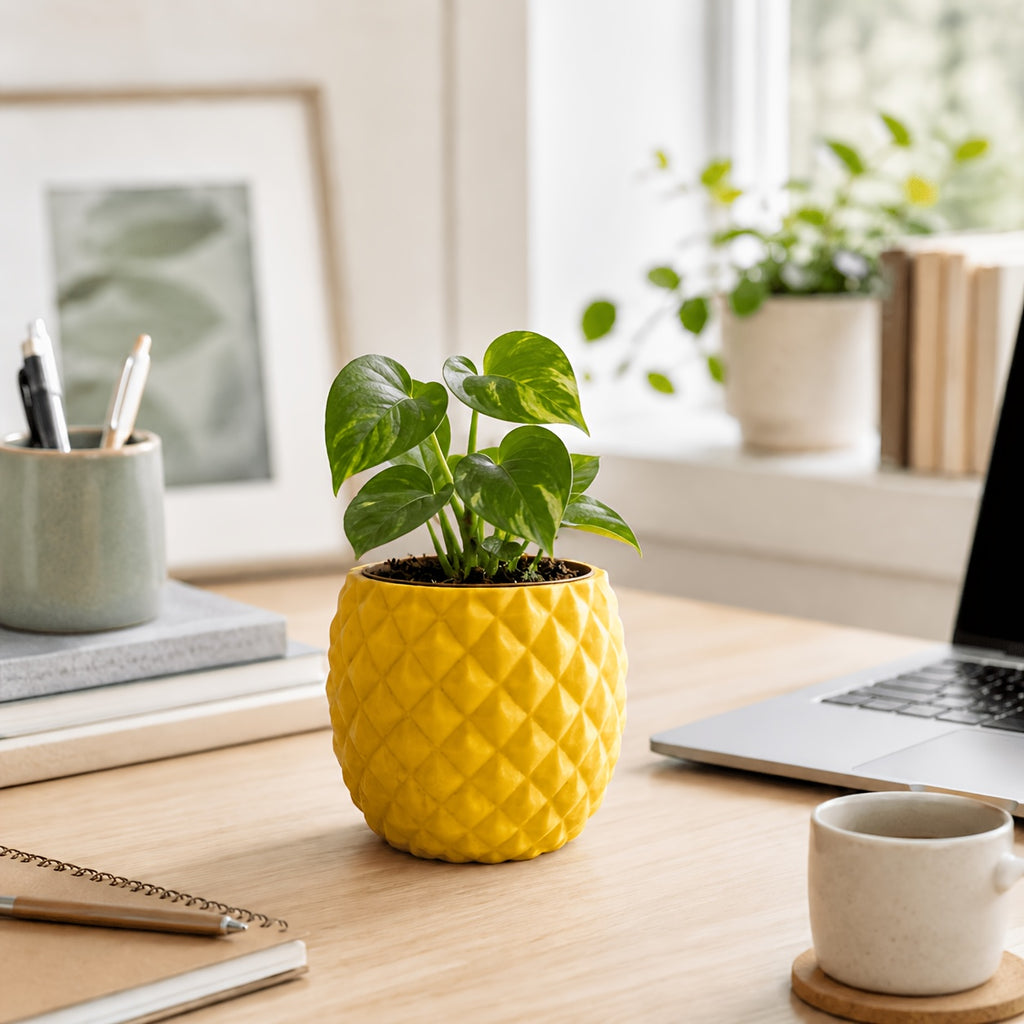 Cache-pot ananas jaune Ø 8 cm pour bureau et succulentes