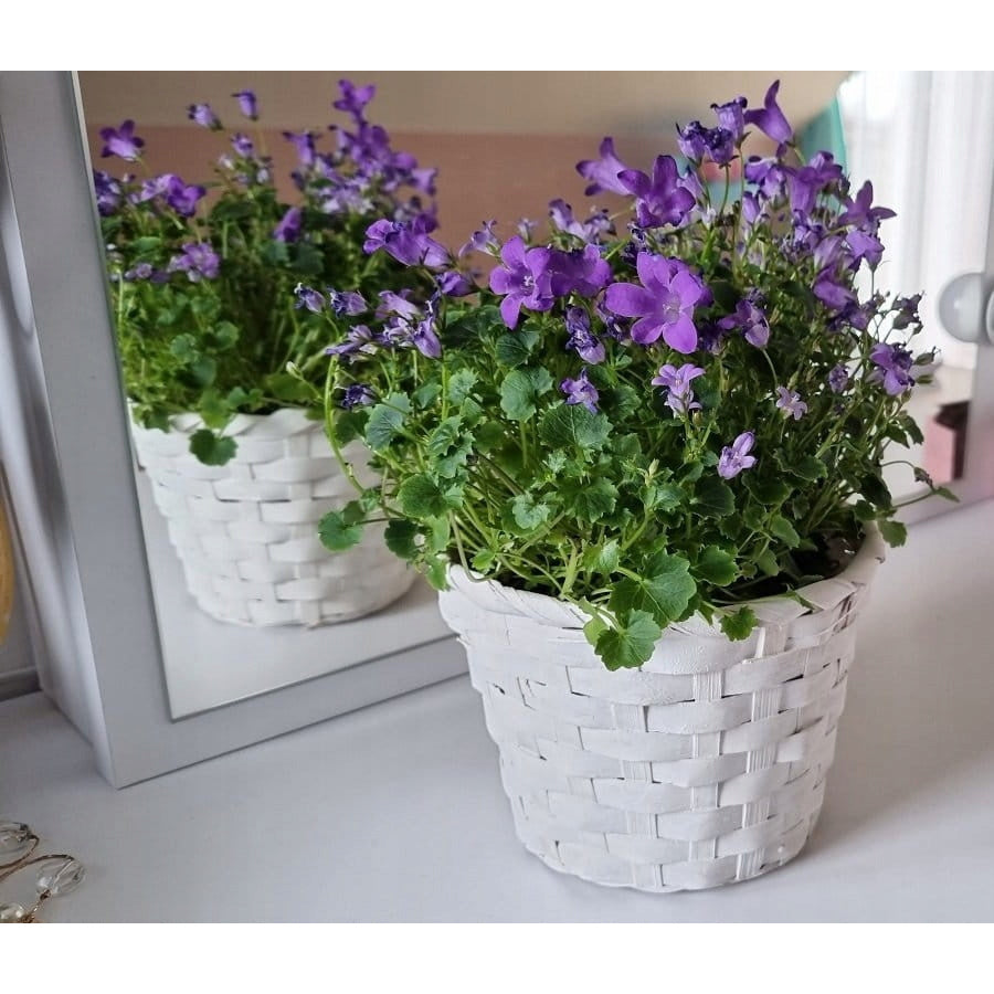 Cache-pot en bambou tressé blanc Ø 14 cm — déco d'intérieur