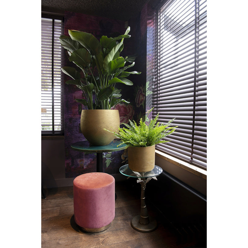 Cache-pot rond en béton doré mat Ø 25 cm pour intérieur