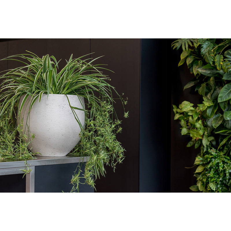 Cache-pot rond en béton doré mat Ø 25 cm pour intérieur