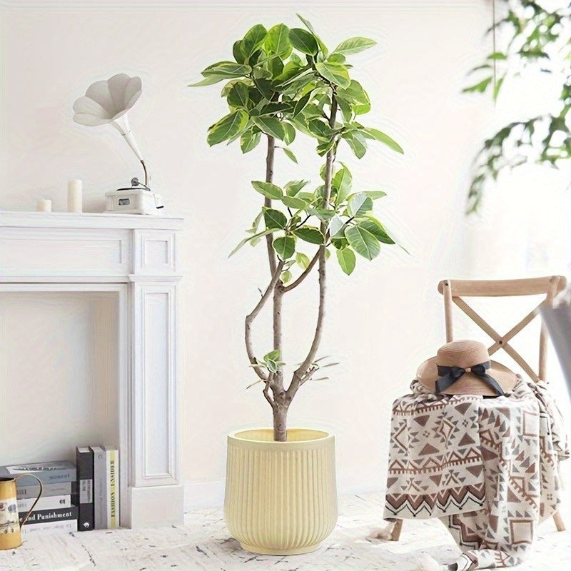 Cache-pot cannelé beige Ø 19 cm - lot de 2 pour intérieur