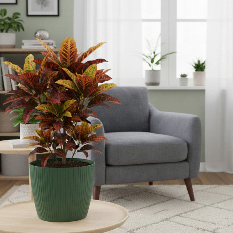 Cache-pot rond vert foncé cannelé Ø 30 cm en plastique