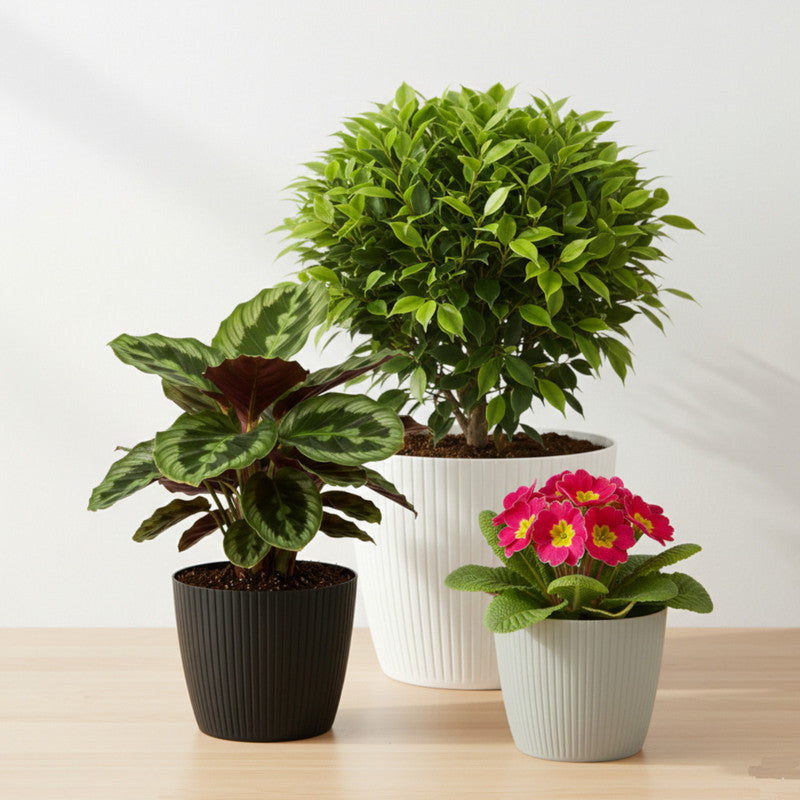 Cache-pot rond vert foncé cannelé Ø 30 cm en plastique