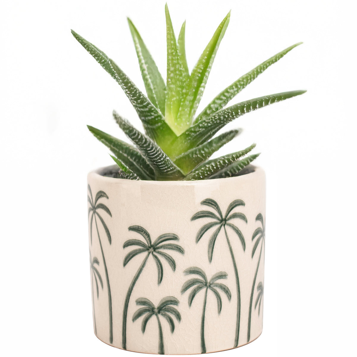 Cache-pot en céramique Ø 12 cm beige à motif palmier tropical