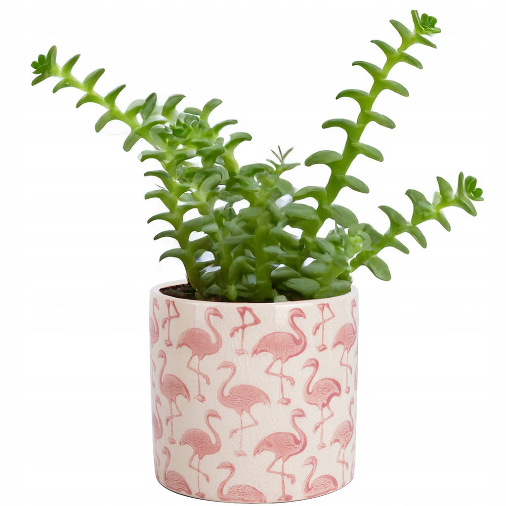 Cache-pot en céramique Ø 12 cm blanc à motif flamants roses
