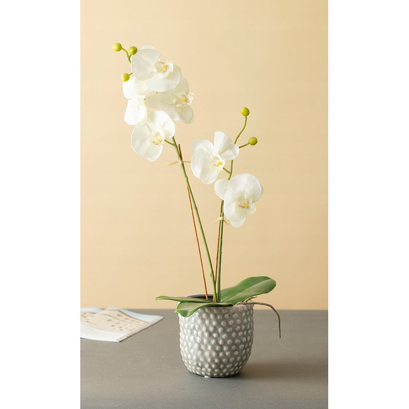 Cache-pot en céramique grise Ø 12 cm, design nordique perlé