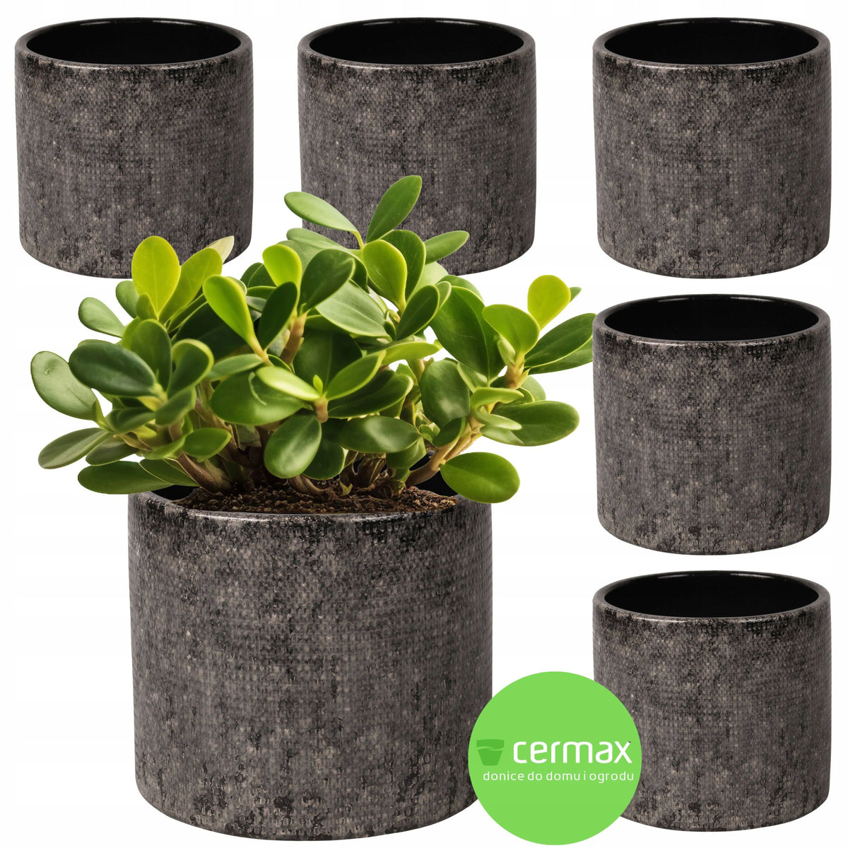 Cache-pot en céramique gris Ø 14 cm — Lot de 6 pour intérieur