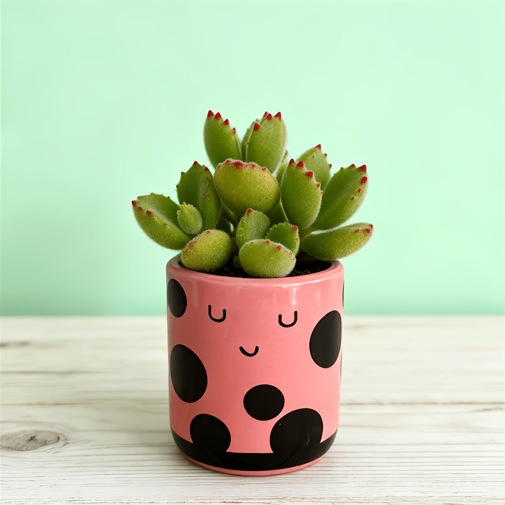 Cache-pot en céramique lot de 2 — abeille et coccinelle 7 cm