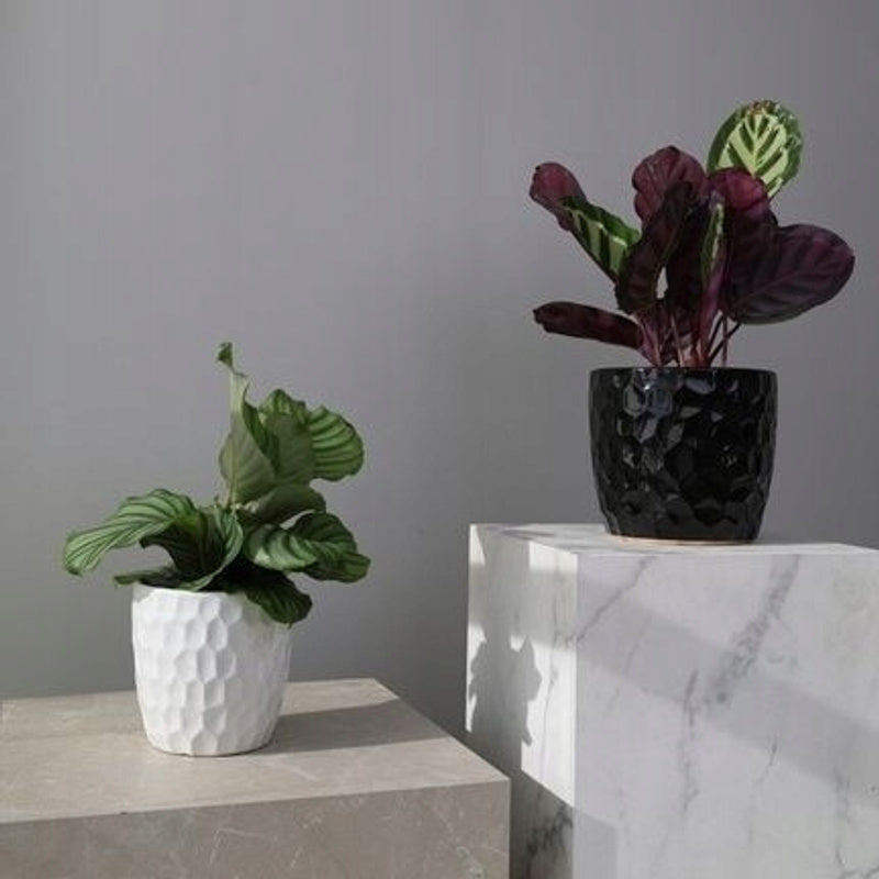 Cache-pot en céramique noire Ø 17 cm, facettes brillantes
