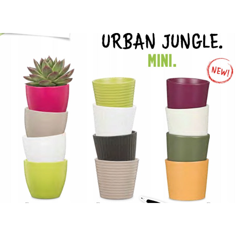 Cache-pot en céramique vert olive Ø 7 cm pour cactus et succulentes