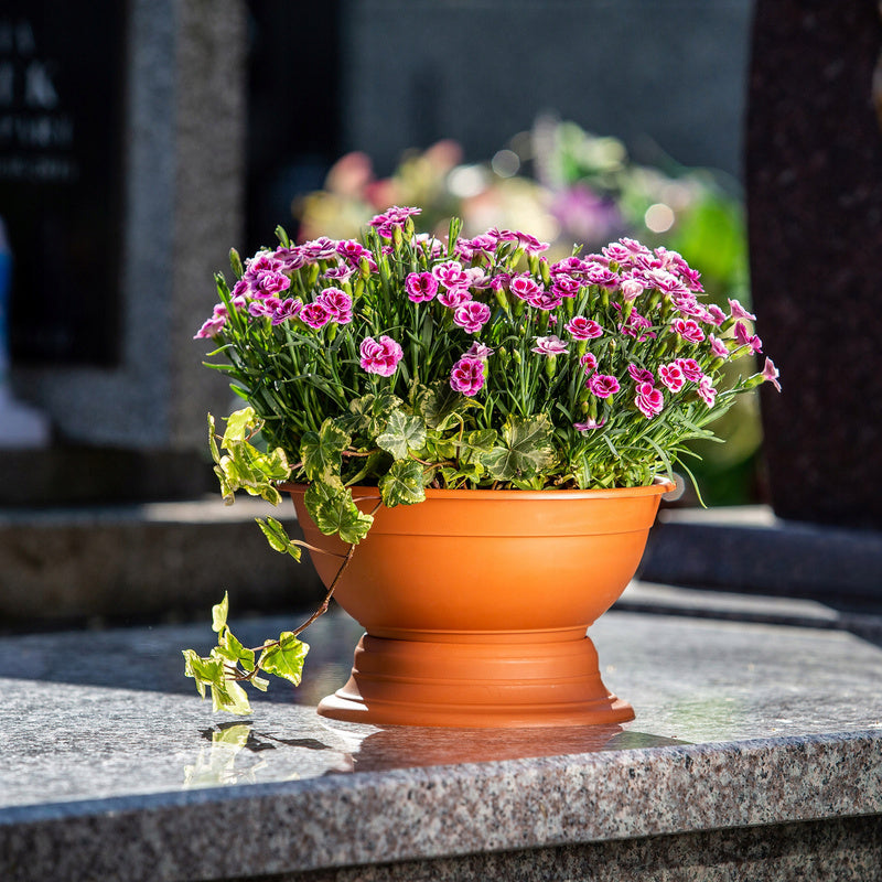 Cache-pot coupe sur pied Ø 18 cm terracotta pour extérieur