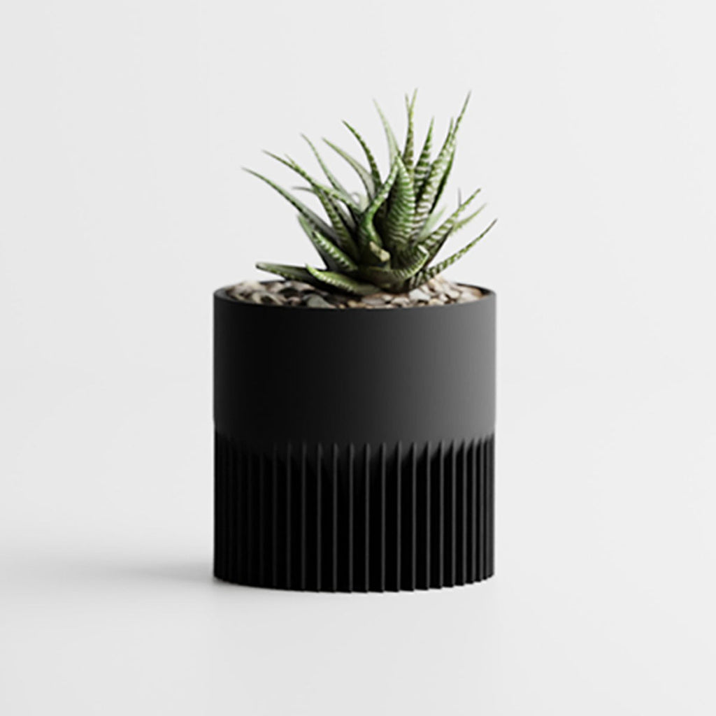 Noir / Petit