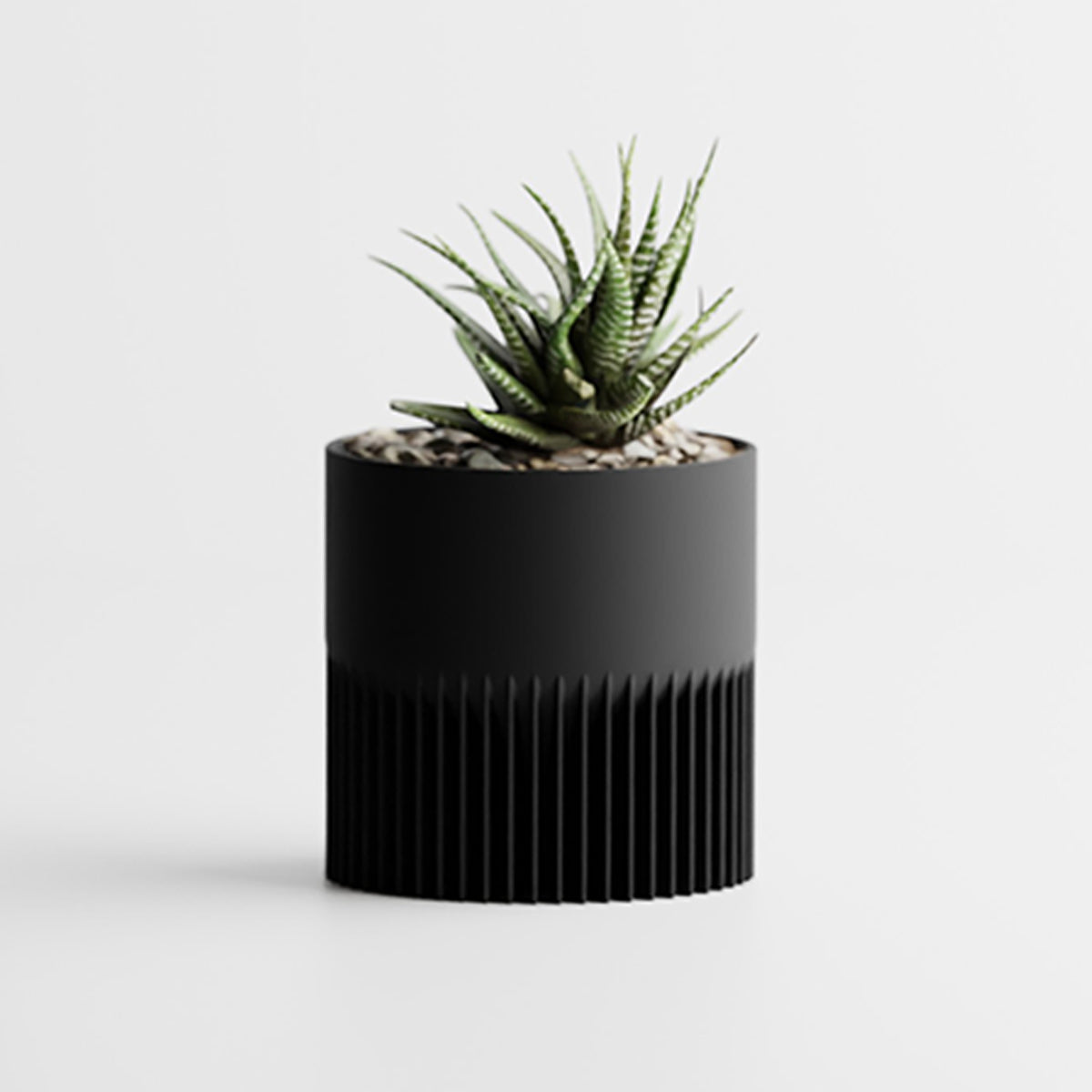 Noir / Petit
