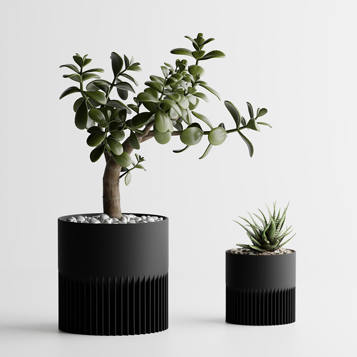 Noir / 1 Grand + 1 Petit