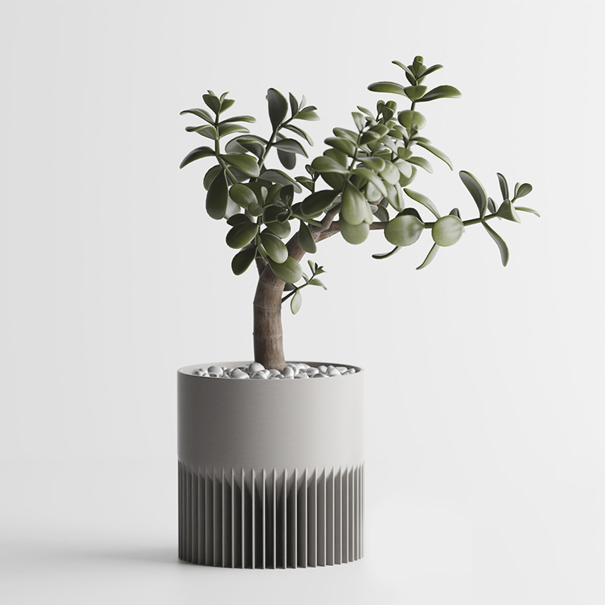 Gris / Grand