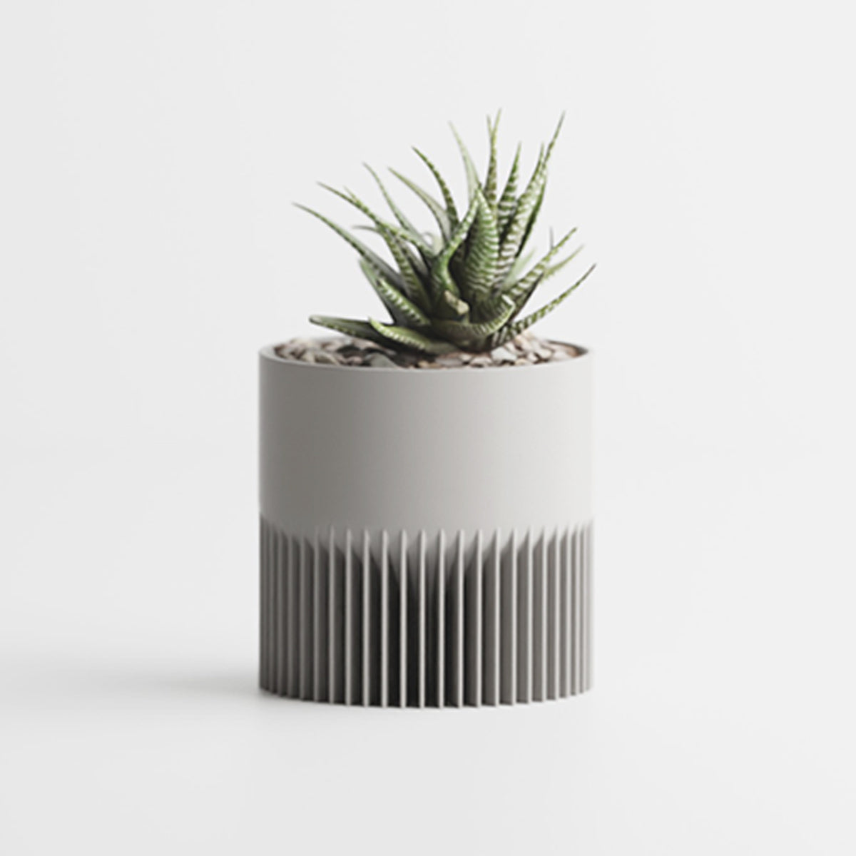 Gris / Petit