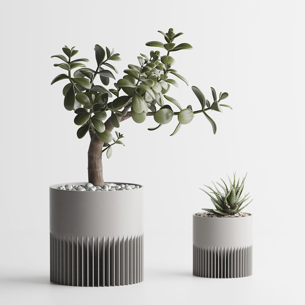 Gris / 1 Grand + 1 Petit