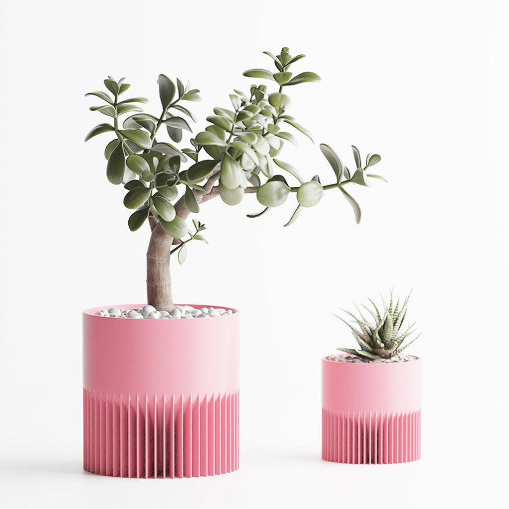 Rose / 1 Grand + 1 Petit