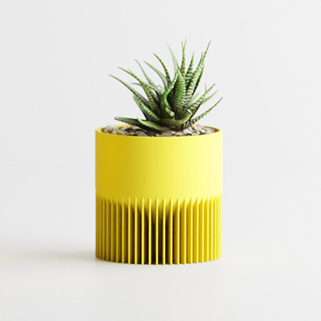 Jaune / Petit