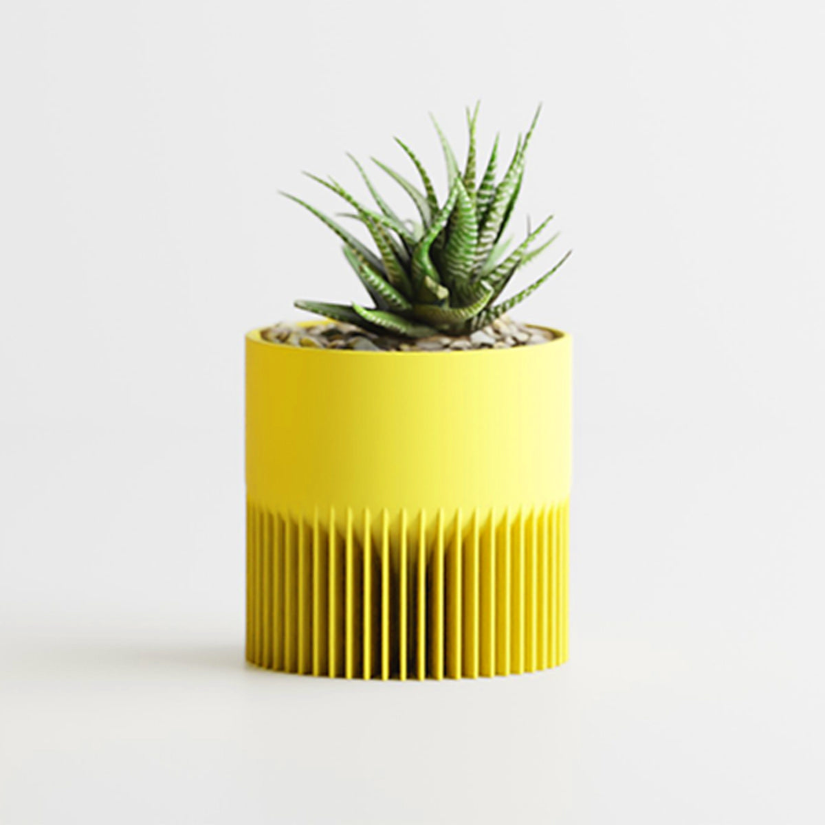 Jaune / Petit
