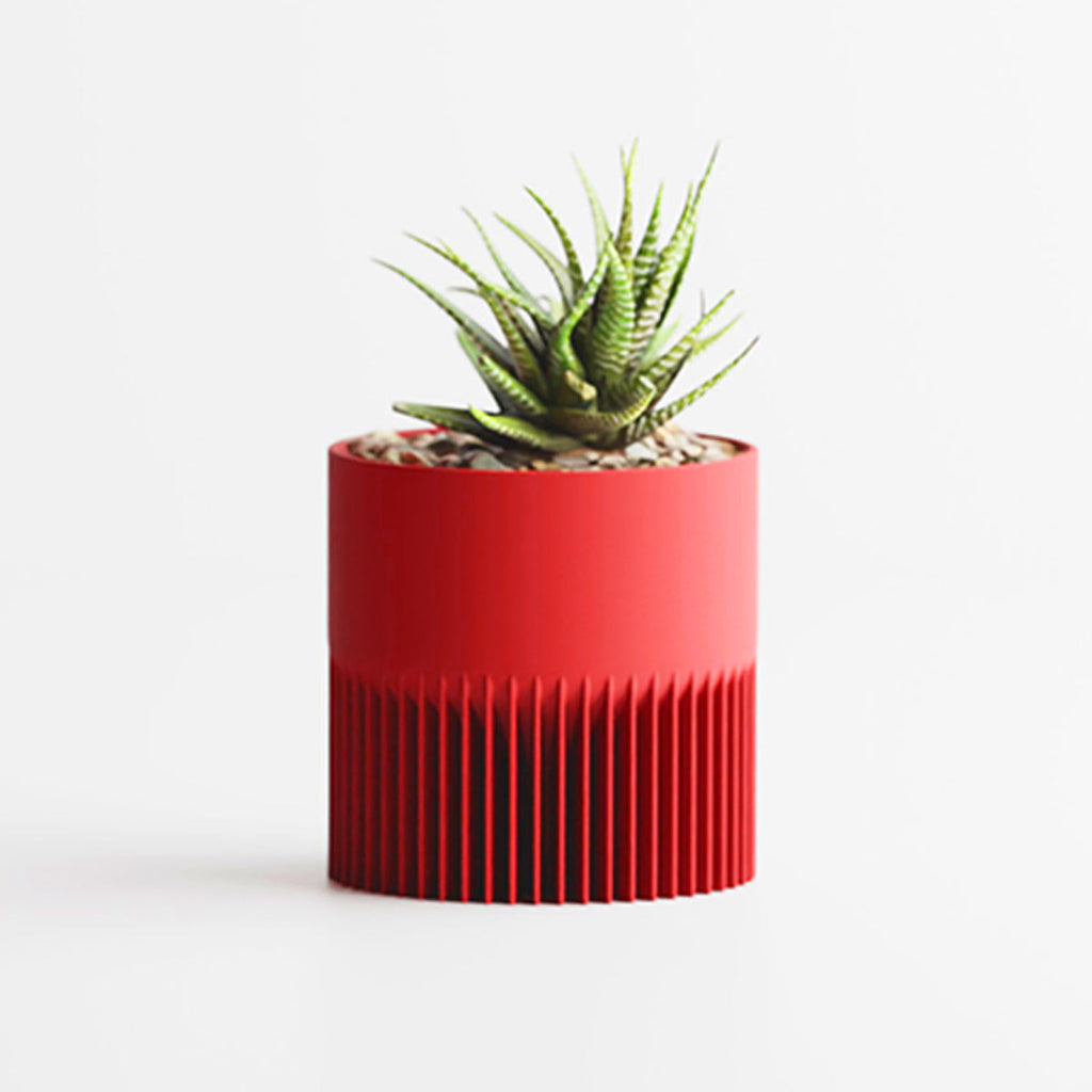 Rouge / Petit