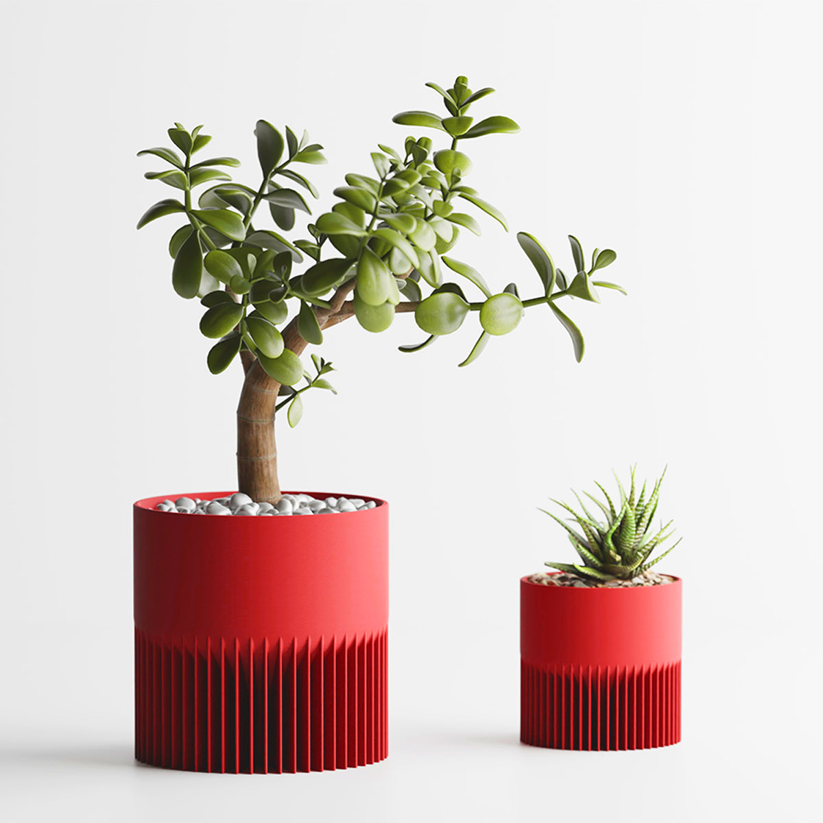 Rouge / 1 Grand + 1 Petit