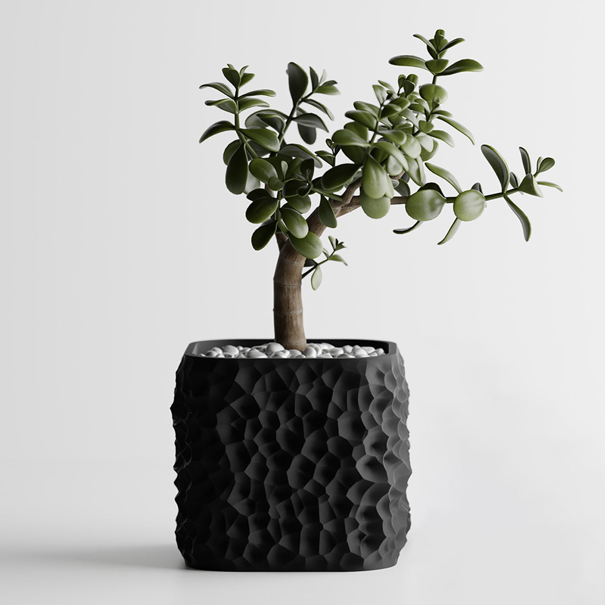 Cache-pot design à texture lunaire — lot de 2, 6 coloris