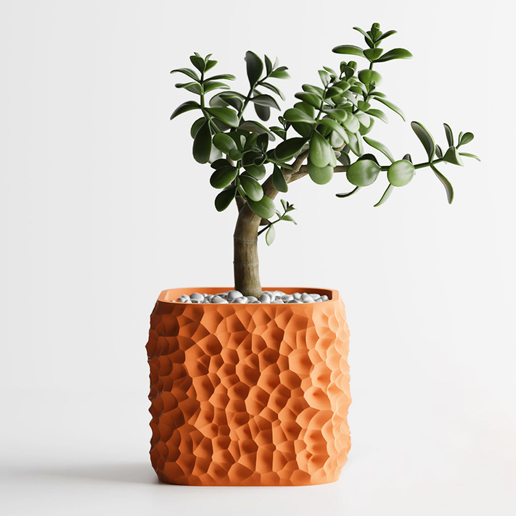 Cache-pot design à texture lunaire — lot de 2, 6 coloris